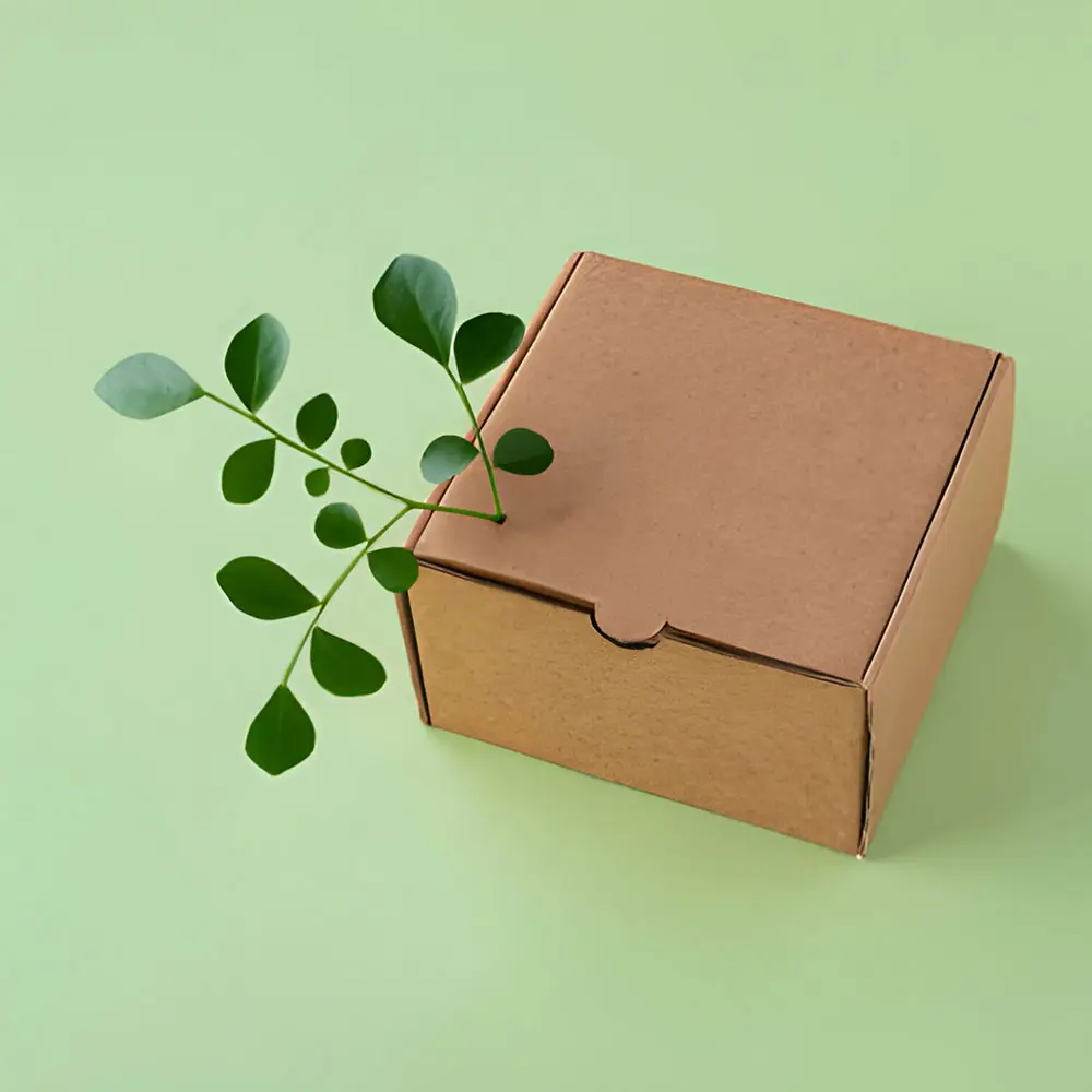 eco-friendly-packaging-box